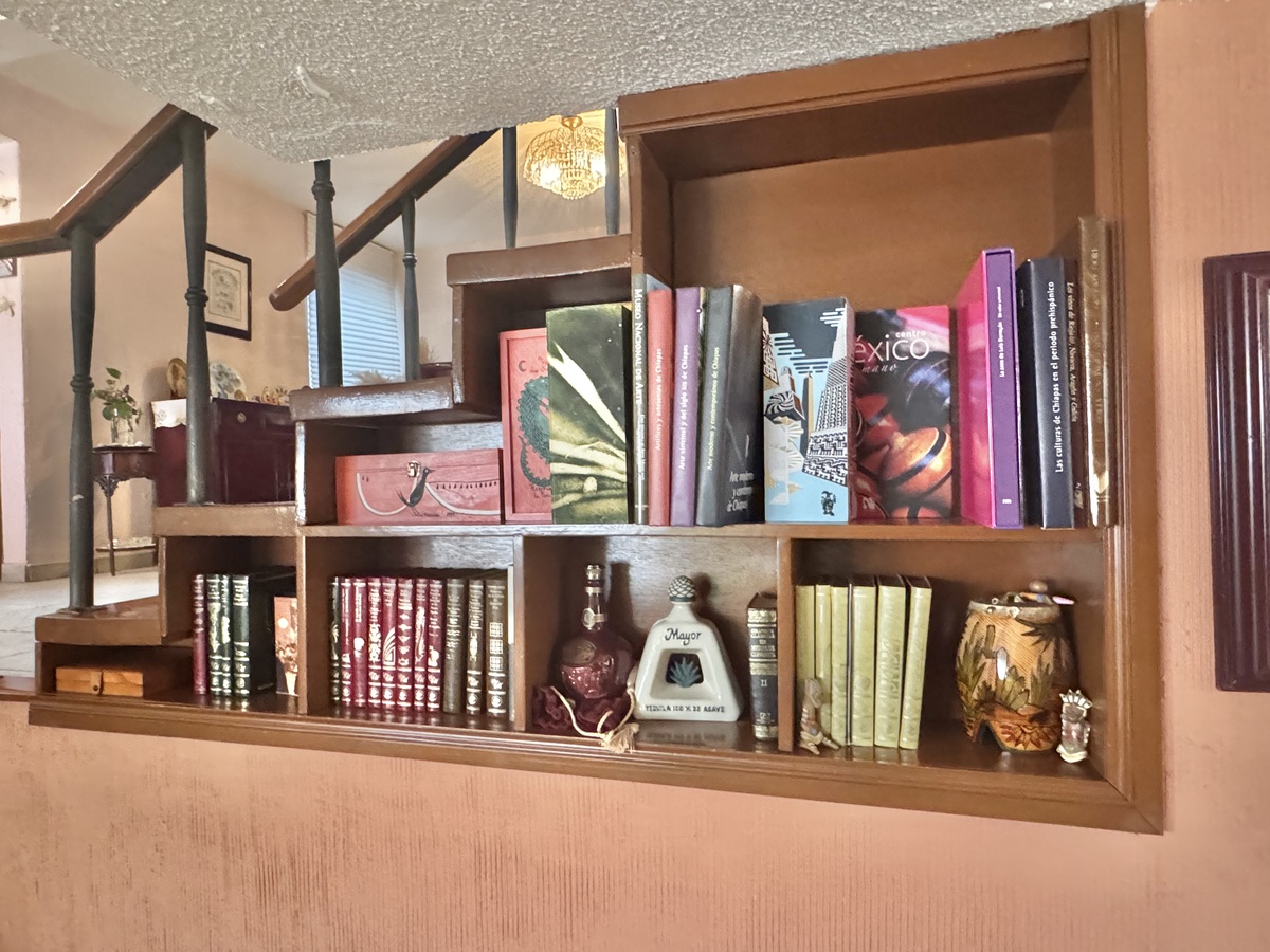 16 de 50: Nichos de adornos y libros