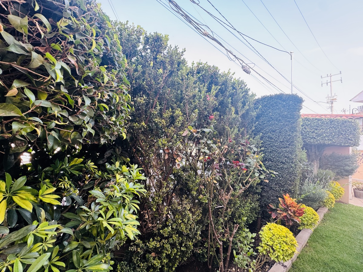 47 de 50: Jardines diseñados con paisajismo y cuidado extremo