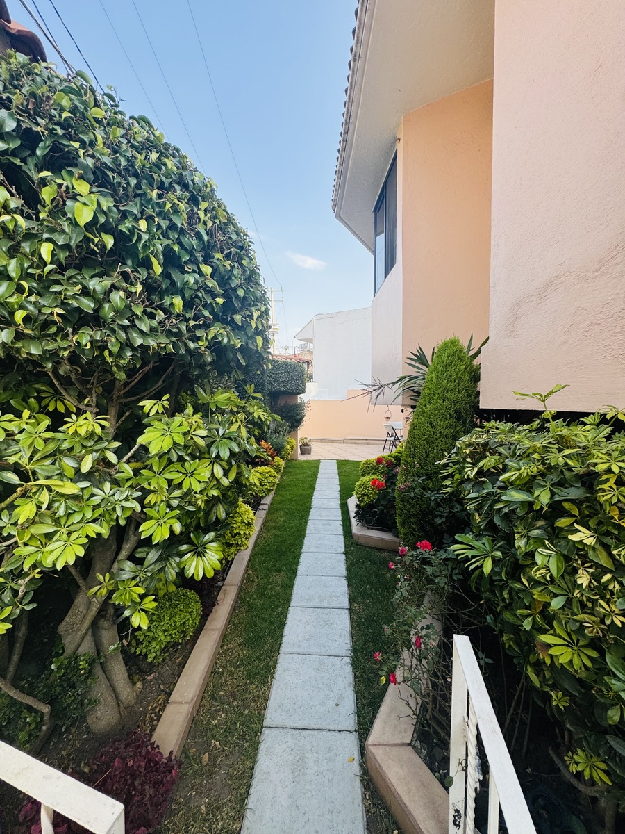 45 de 50: Un jardin tan bello para recorrer o estar