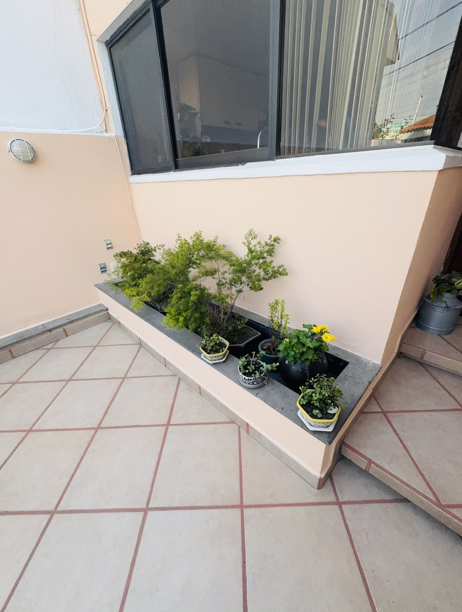 45 de 50: Jardinera al frente puede ser su huerto hidroponico