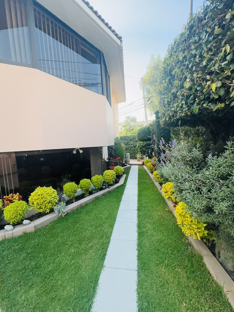 44 de 50: Ritmo y repetición, es un orden de pulcritud y estética.