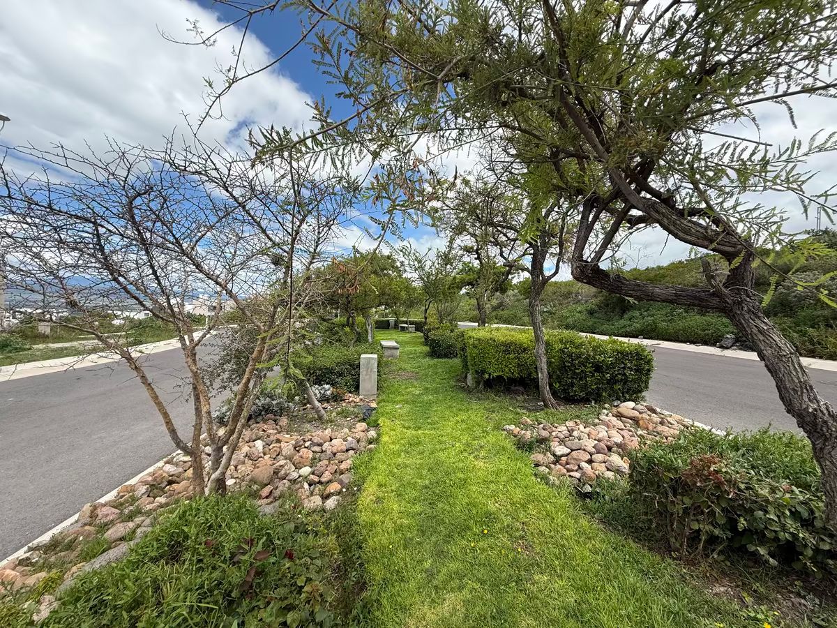 33 of 37: Áreas verdes.