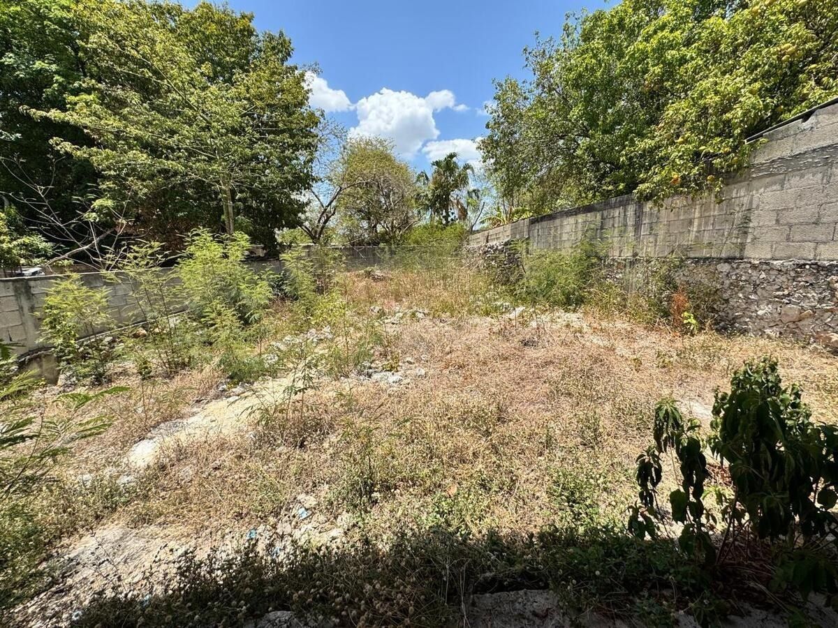 9 de 10: Patio trasero