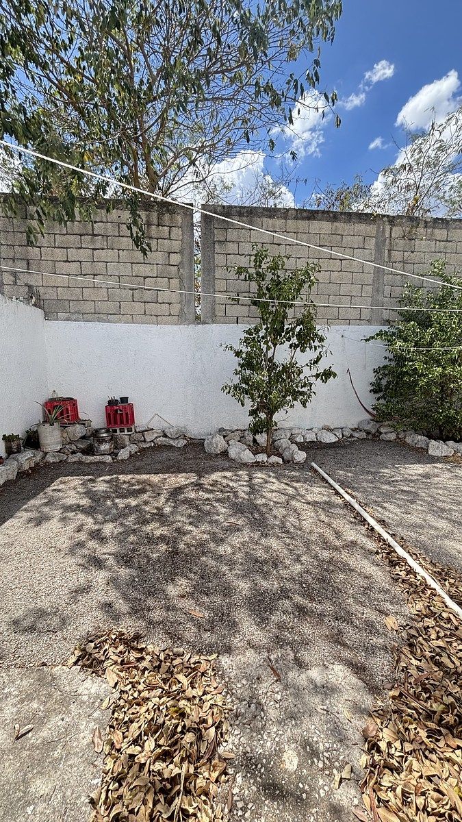 19 de 28: patio trasero