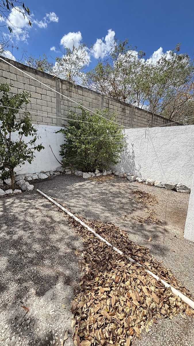 20 de 28: patio trasero