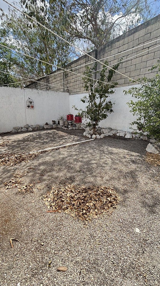 21 de 28: patio trasero