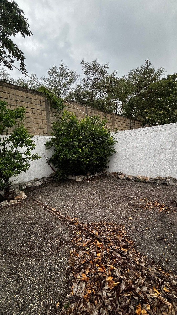 Patio, foto 28 de 42