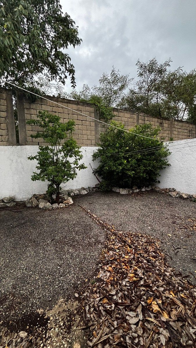 Patio, foto 29 de 42