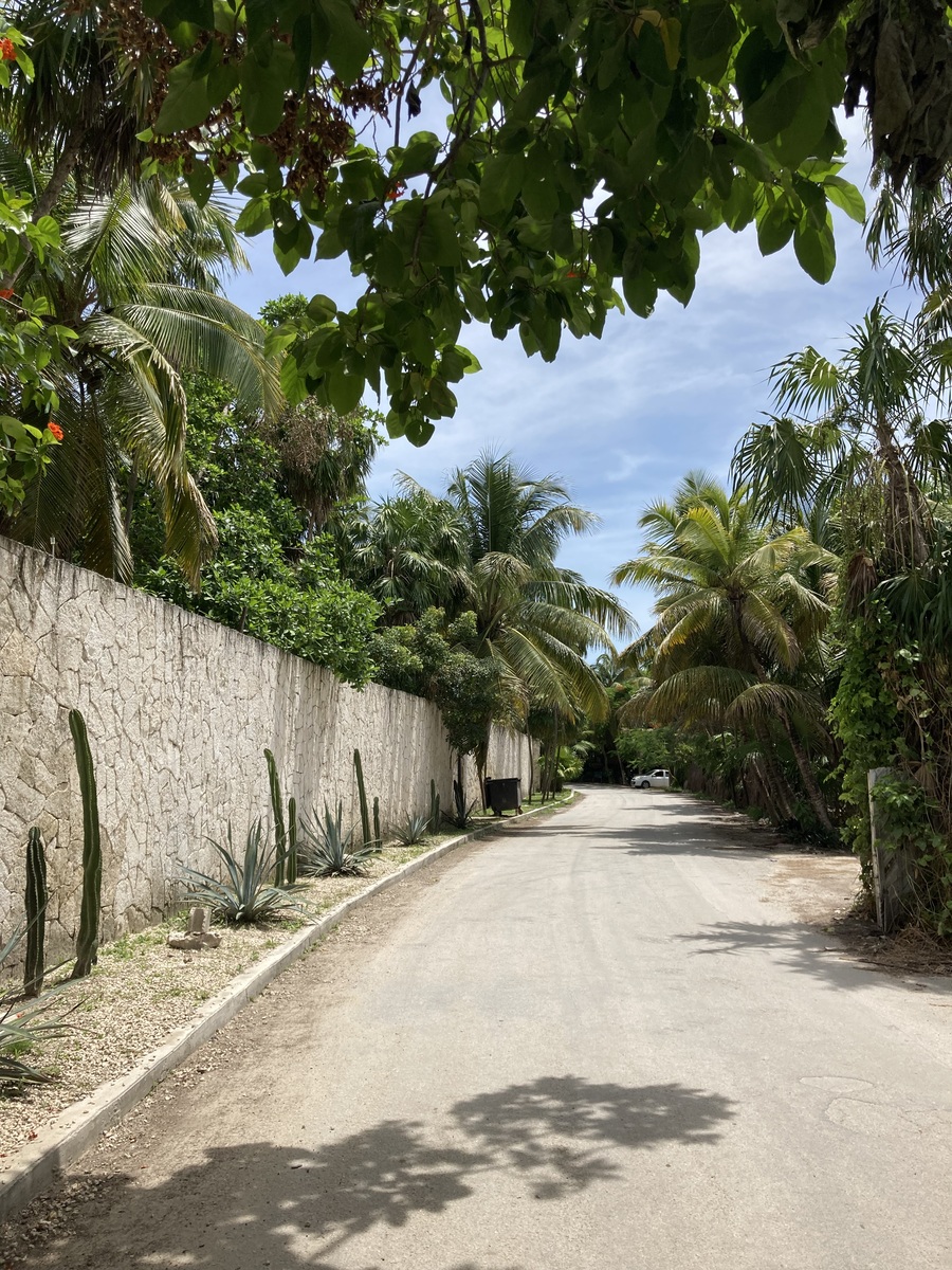 4 of 35: Street view