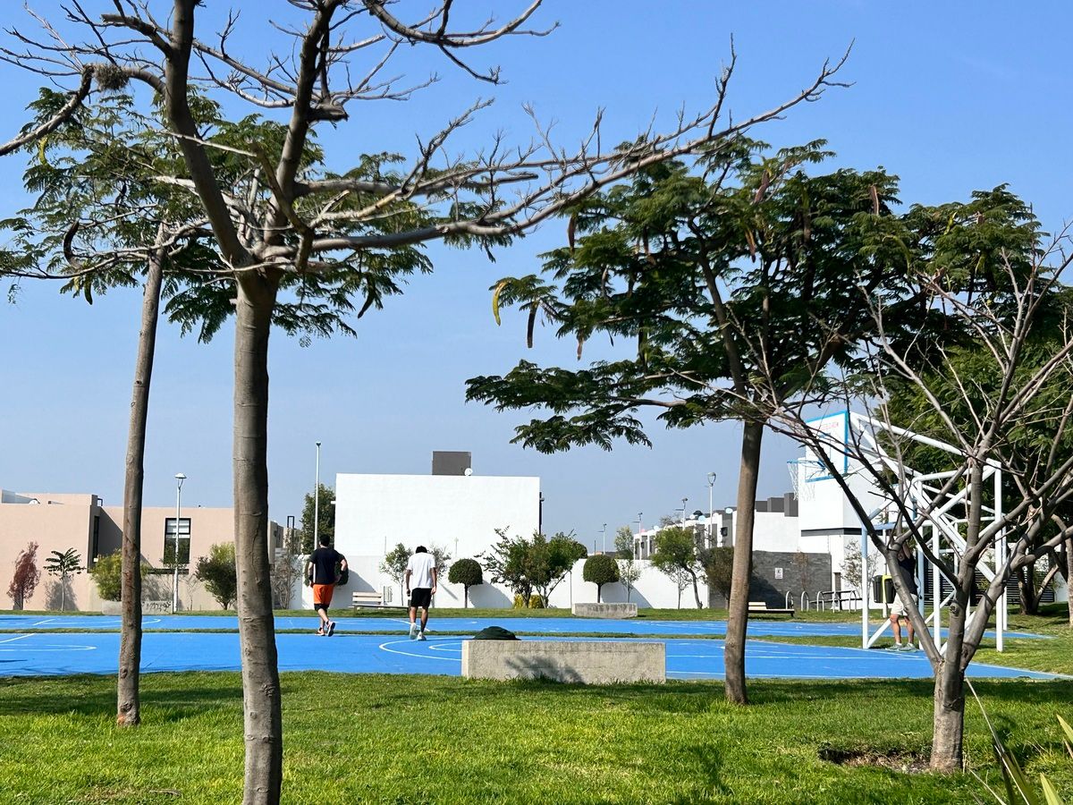 23 de 25: CANCHA BASQUETBALL