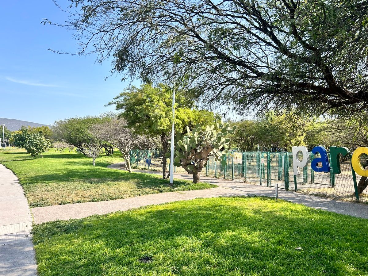 24 de 25: PARQUE PARA PERROS