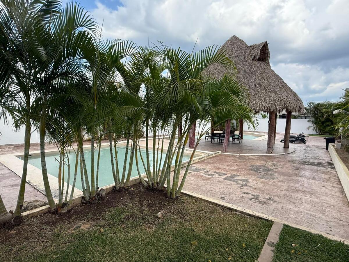 16 of 16: Palapa y Alberca