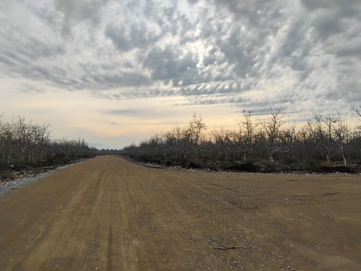 6 de 26: Camino interior parcelación