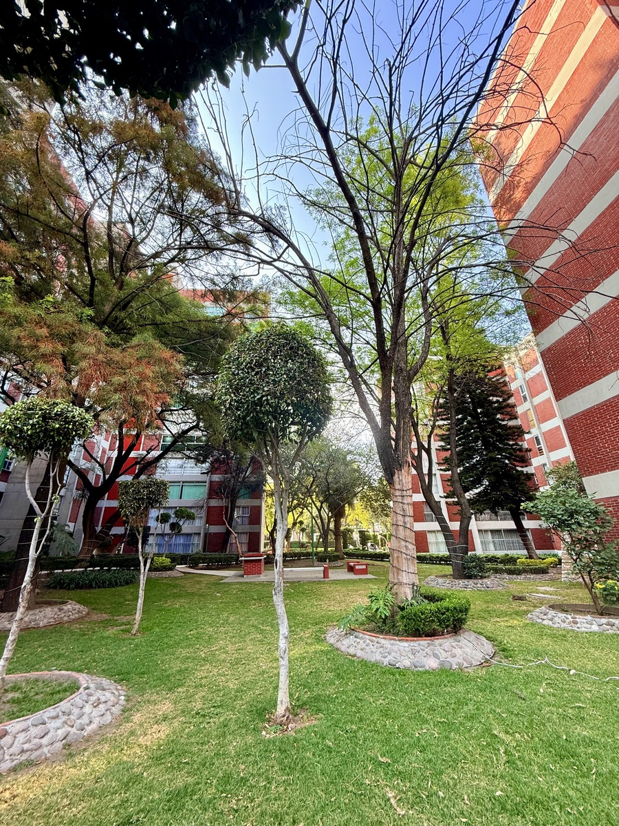 2 de 44: Áreas verdes