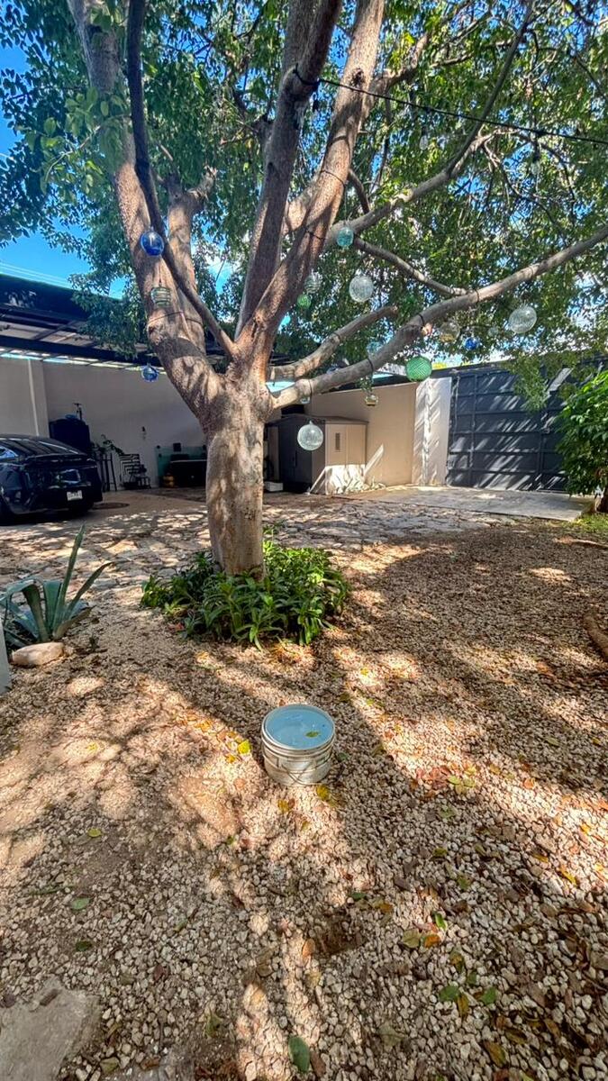 2 de 37: entrada principal