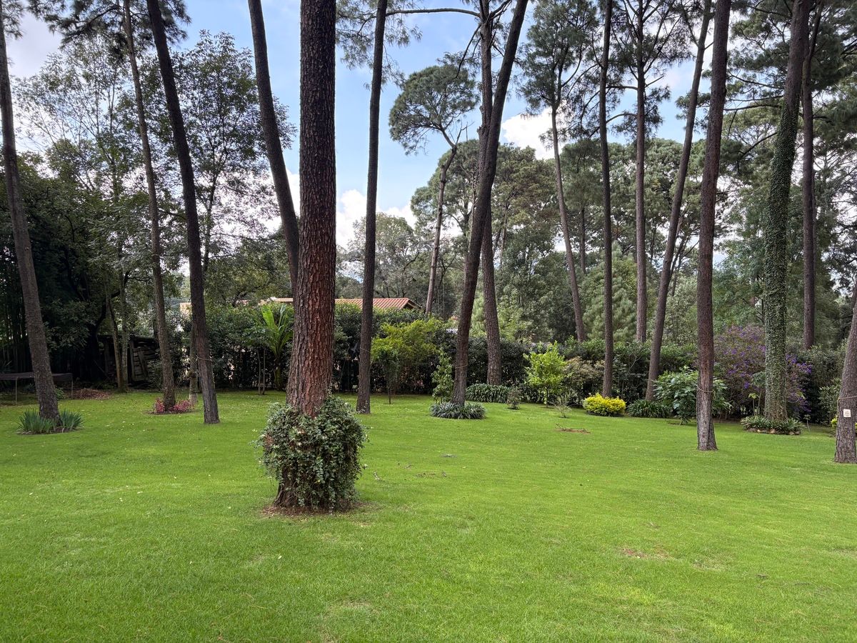 23 de 23: Jardín Exterior
