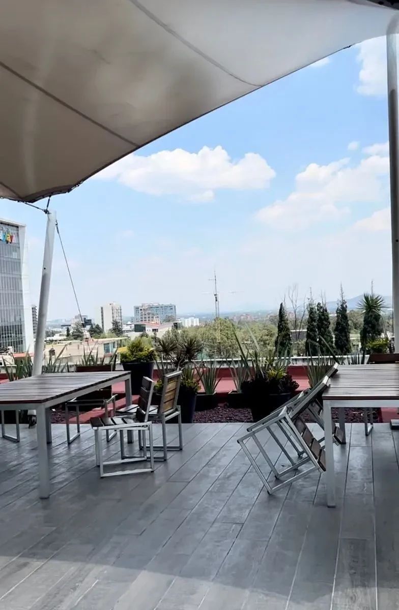 Roof garden, foto 11 de 12