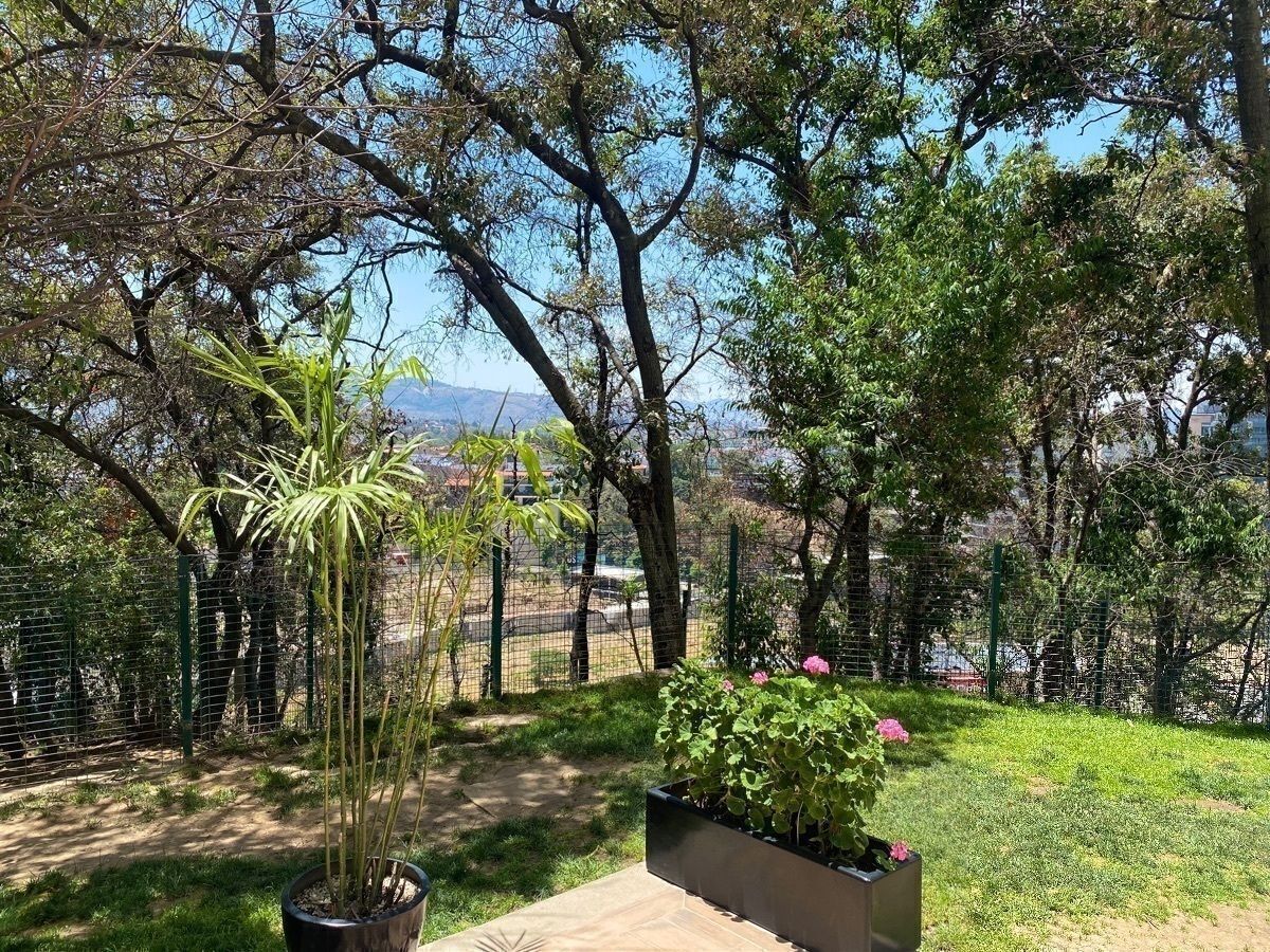 27 de 30: Jardín exterior del edificio