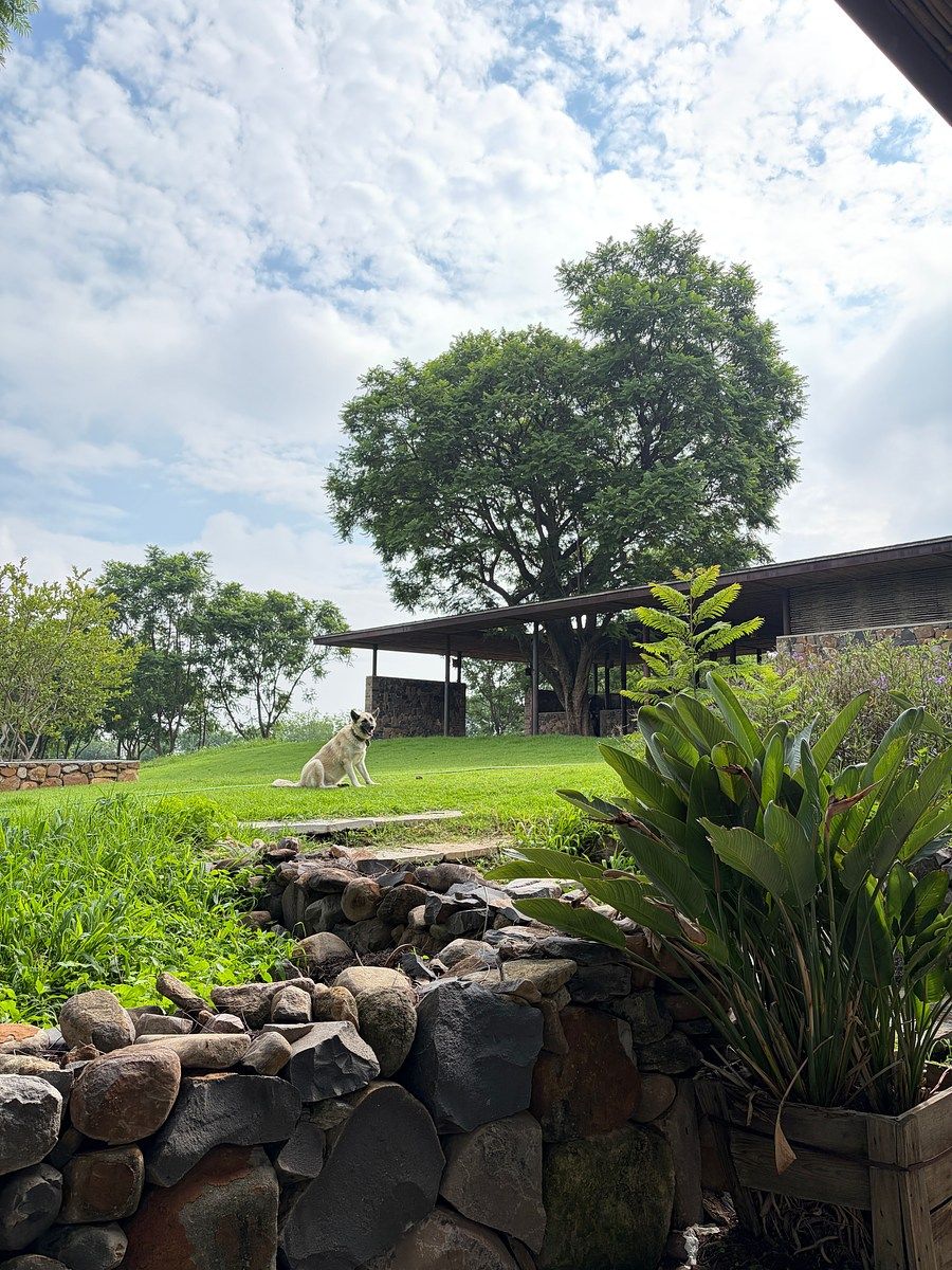 Rancho en La Cañada, Ixtlahuacán de los Membrillos, foto 29 de 32