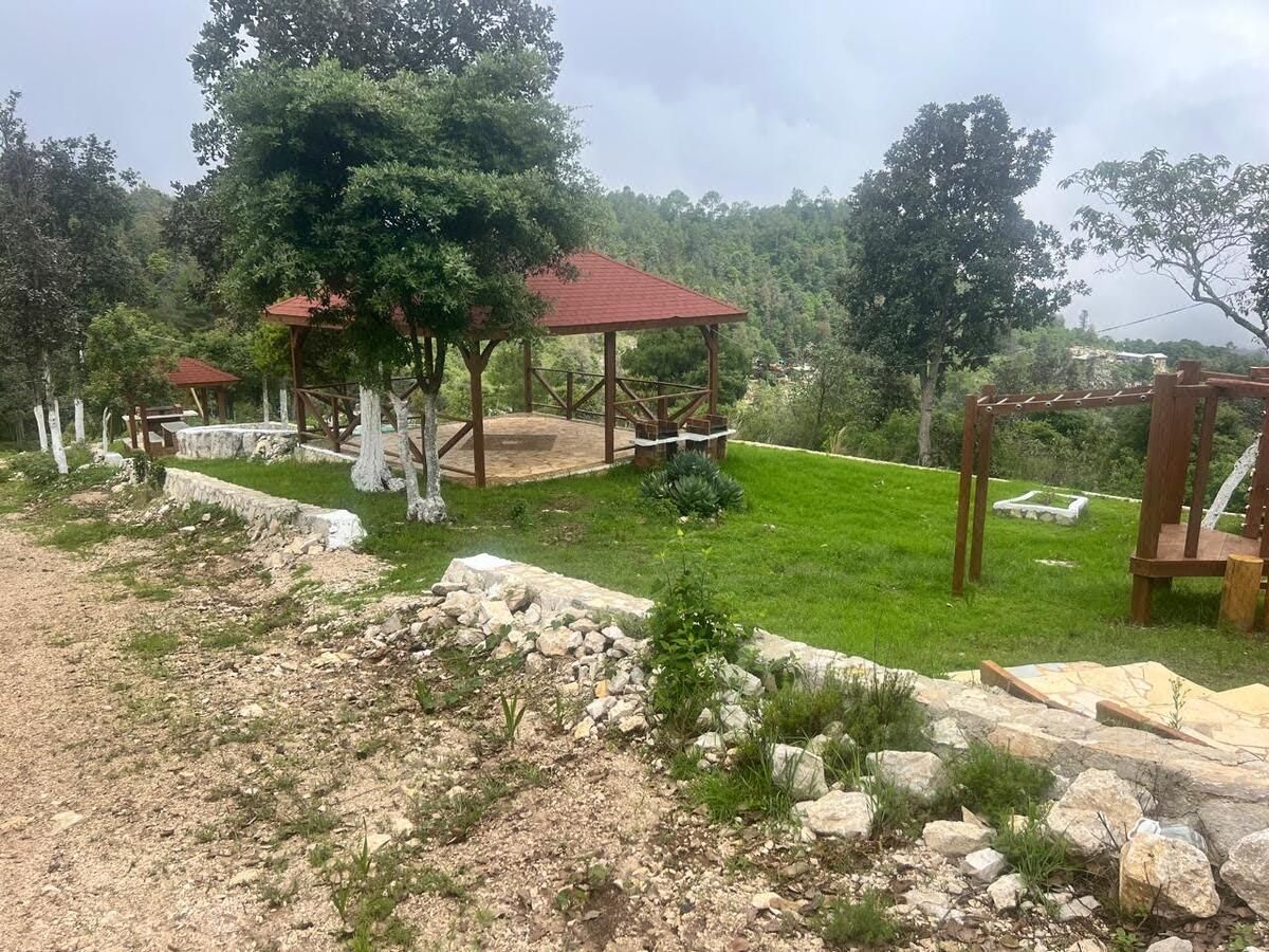 Terreno Rustico Arbolado