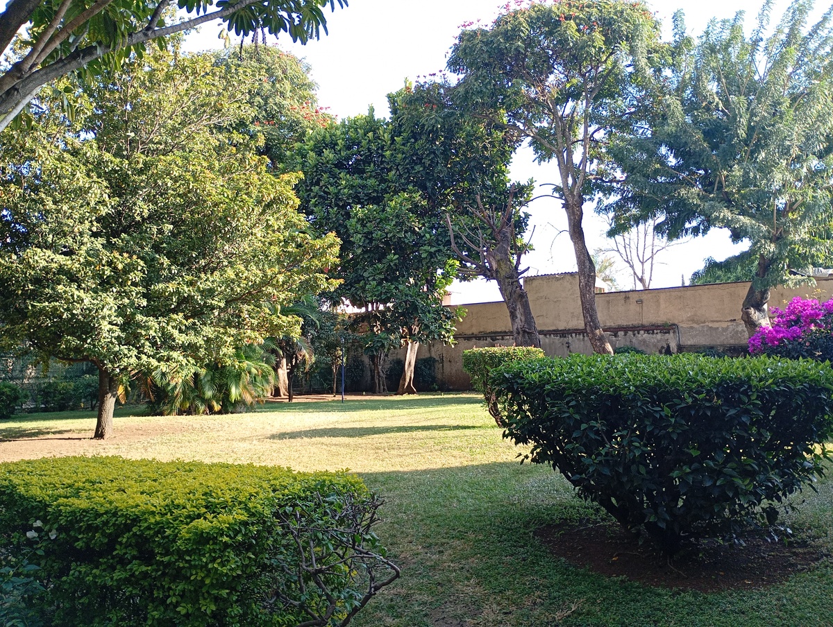 5 of 20: JARDINES EXTERIORES