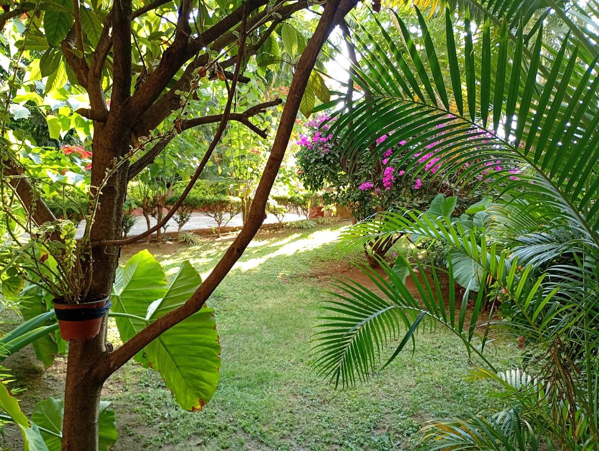 18 of 20: JARDINES Y ÁREAS COMUNES