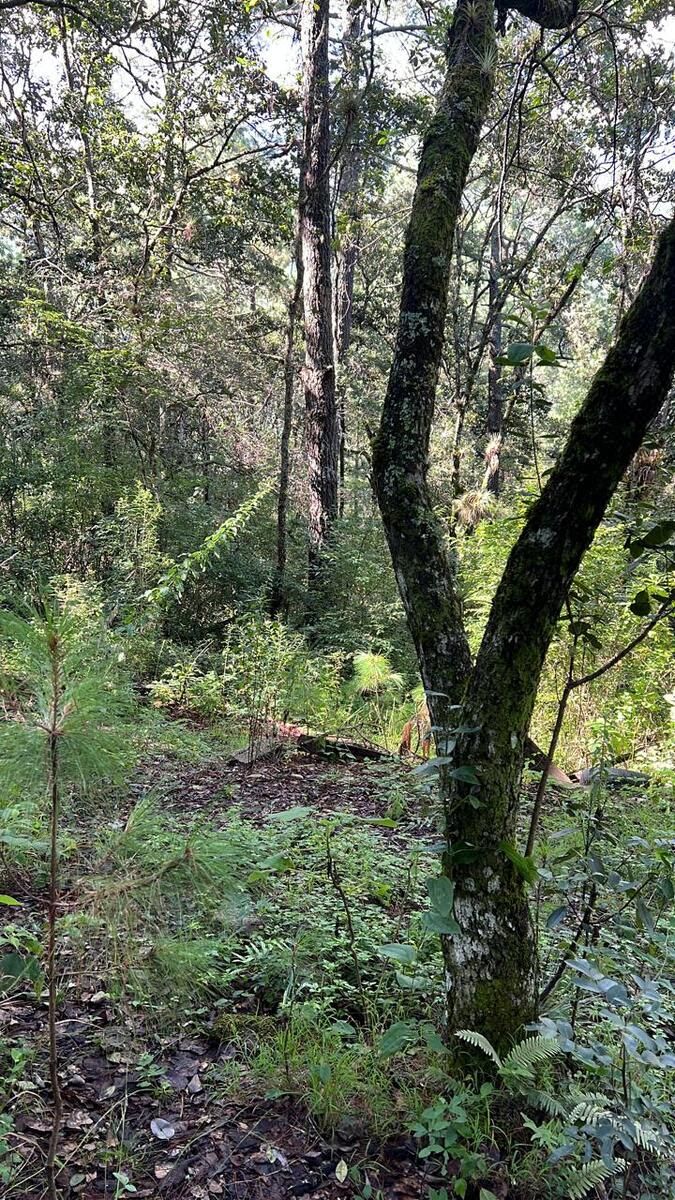 Se vende terreno en Corral de Piedra