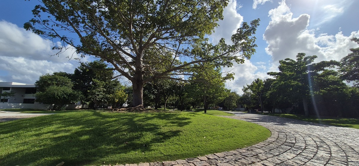 28 of 29: VIALIDADES