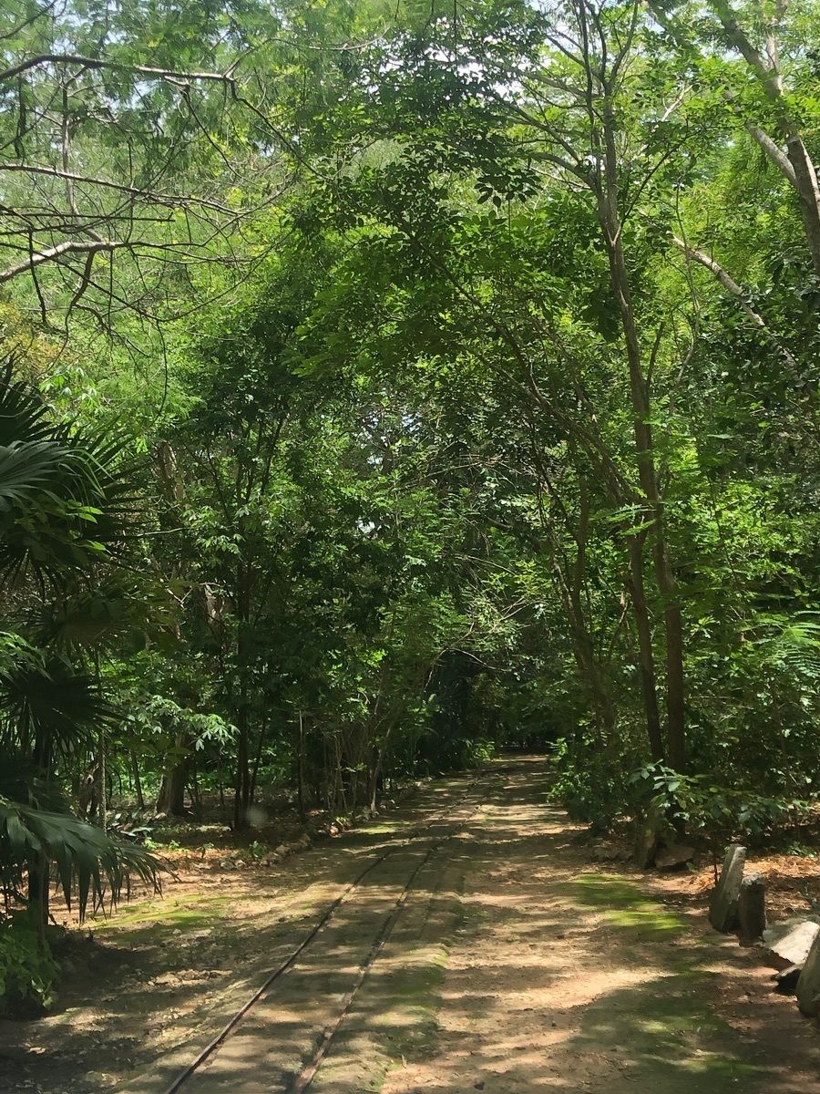 HACIENDA VENTA YUCATAN CHICHEN REALTY