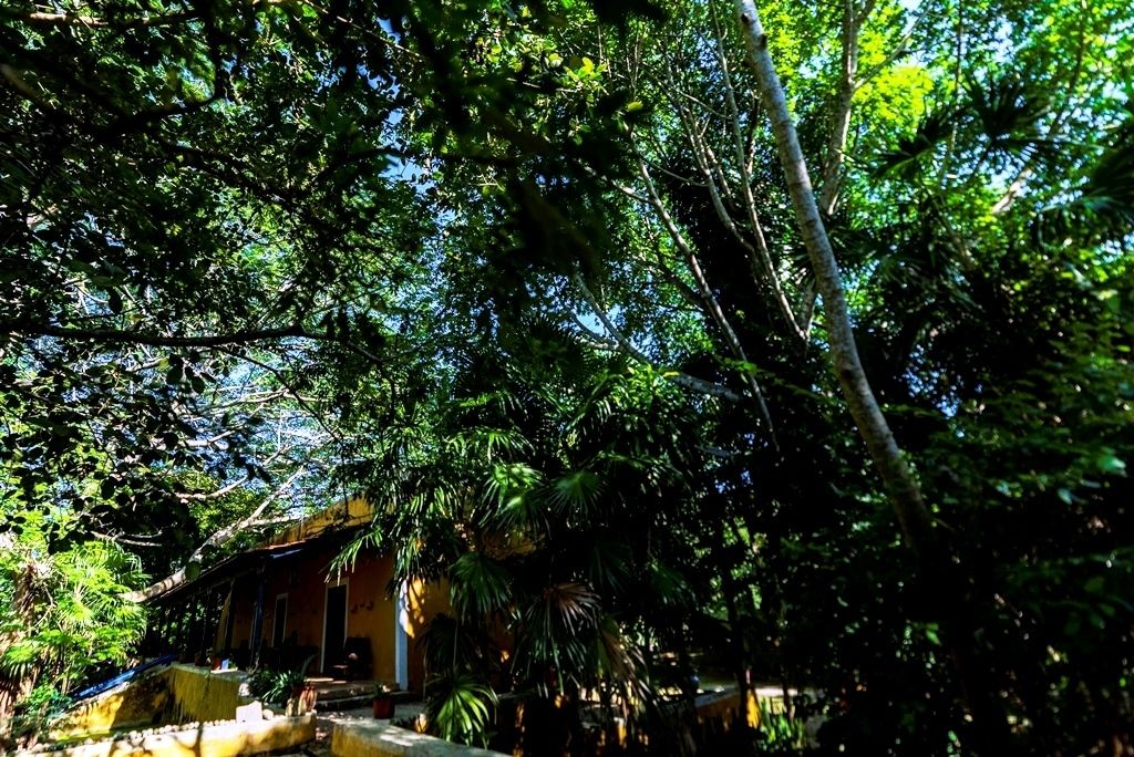 HACIENDA VENTA YUCATAN CHICHEN REALTY