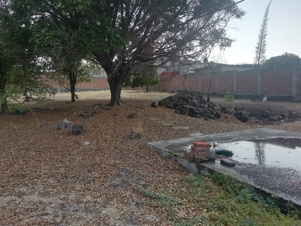 Lot in Santa Rosa, Yautepec, photo 3 of 6