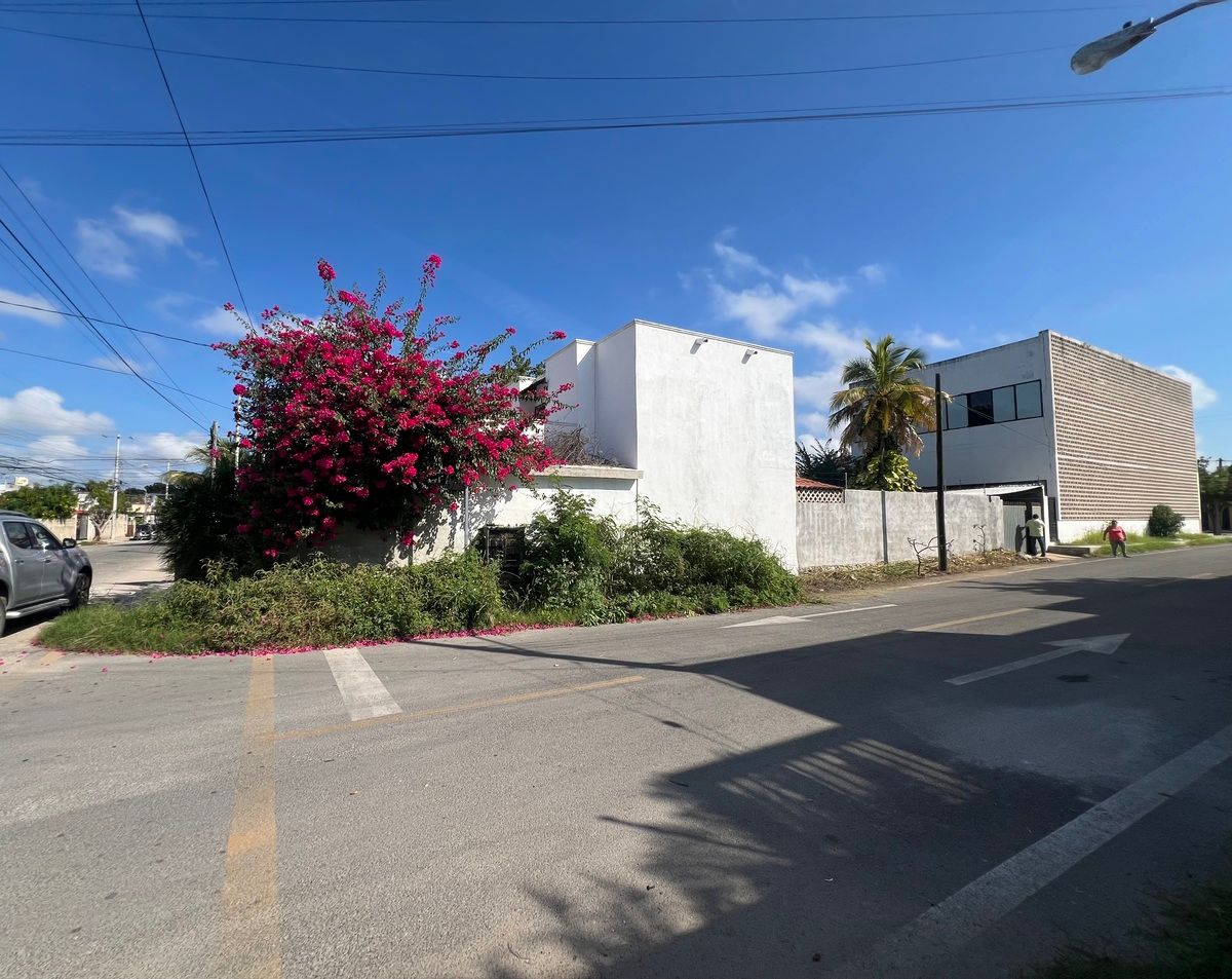 2 de 19: Toda la esquina