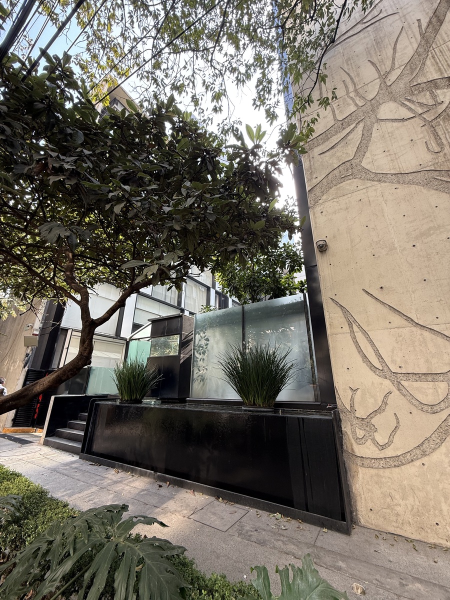 164, Calle Monte Elbruz, Lomas de Chapultepec I Sección, 11530 164, Calle Monte Elbruz, Lomas de Chapultepec I Sección, 11530