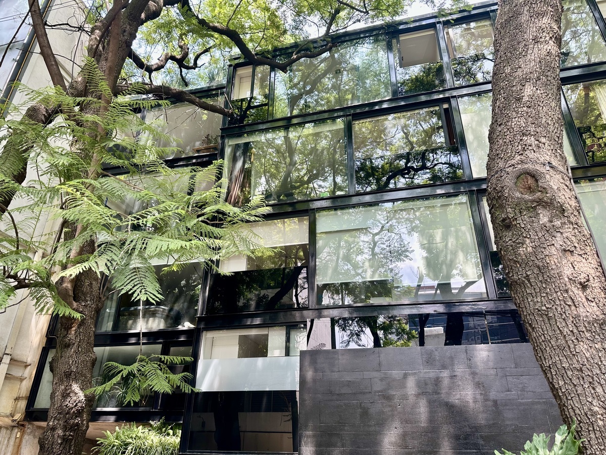 137, Calle Lope de Vega, Polanco V Sección, 11560