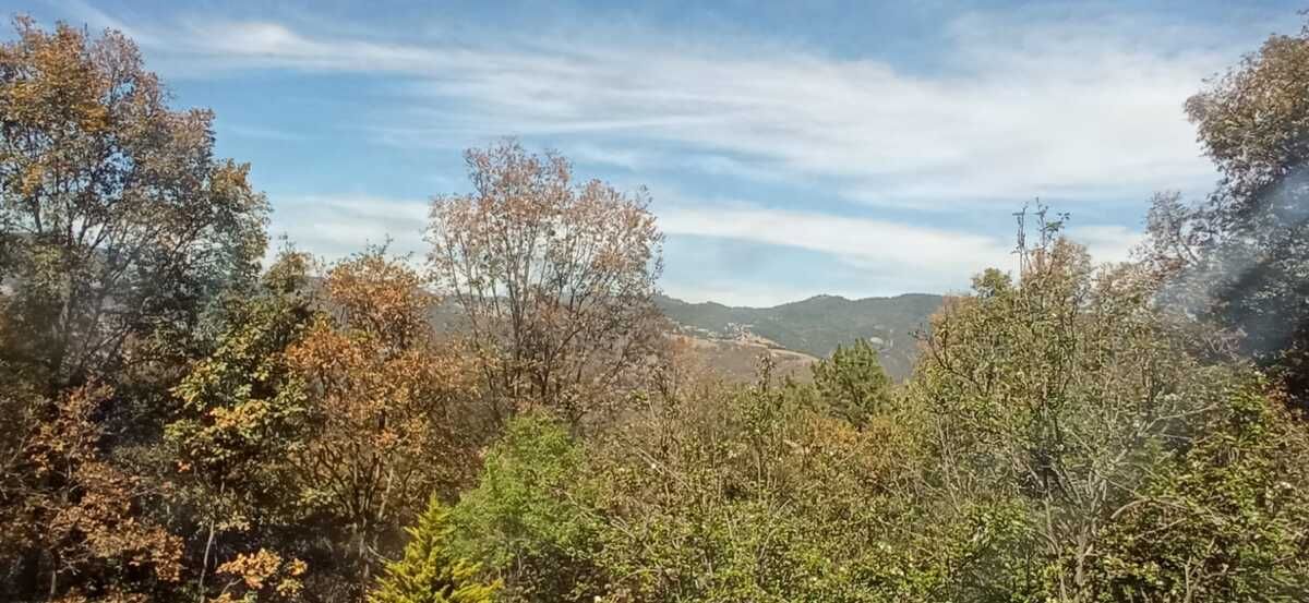 34 de 43: Foto de la Casa