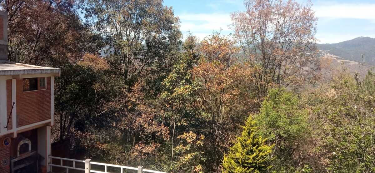 40 de 43: Foto de la Casa