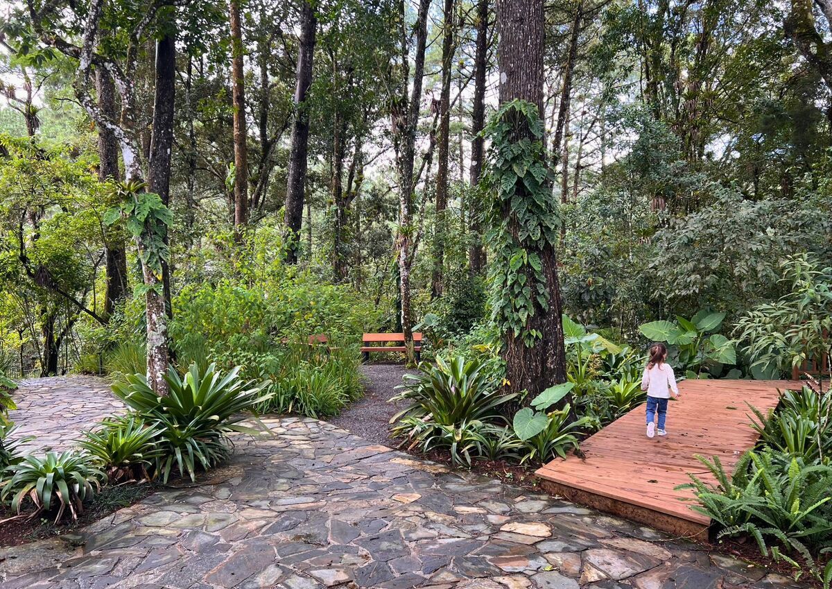 AZARA/ Legado Del Bosque/Terreno en Venta,  Zona 16 - Miniatura 5