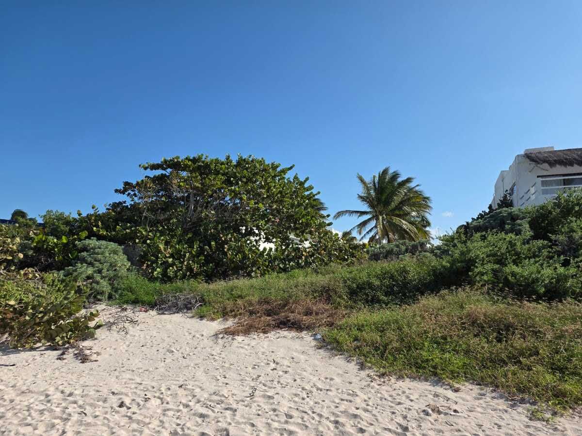 Se Vende Terreno Frente al Mar en Chuburna Puerto