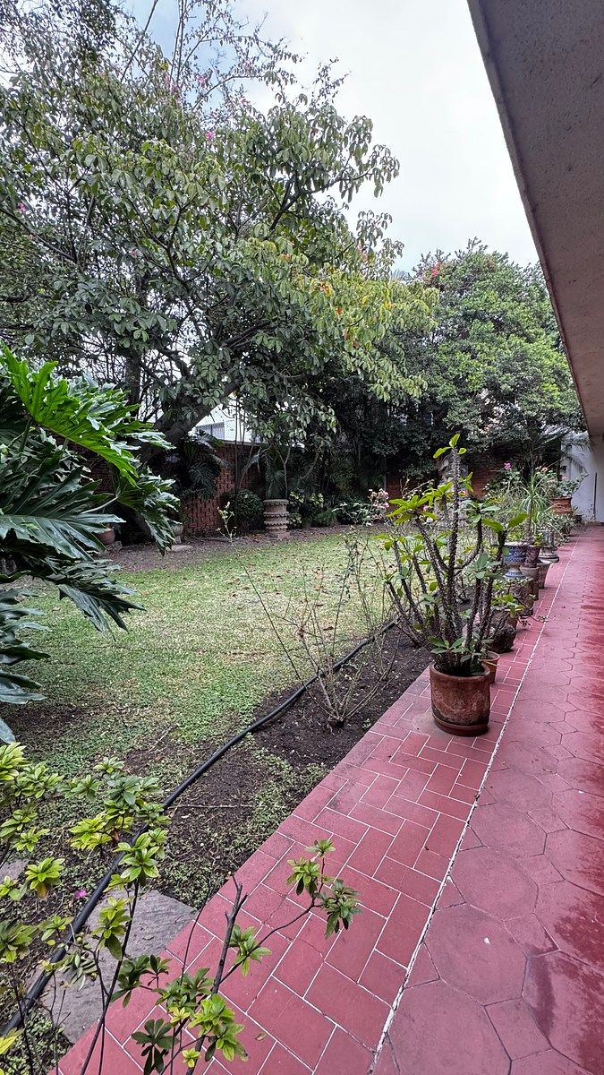 Sala Comercial em Ladrón de Guevara, Guadalajara, foto 13 de 13