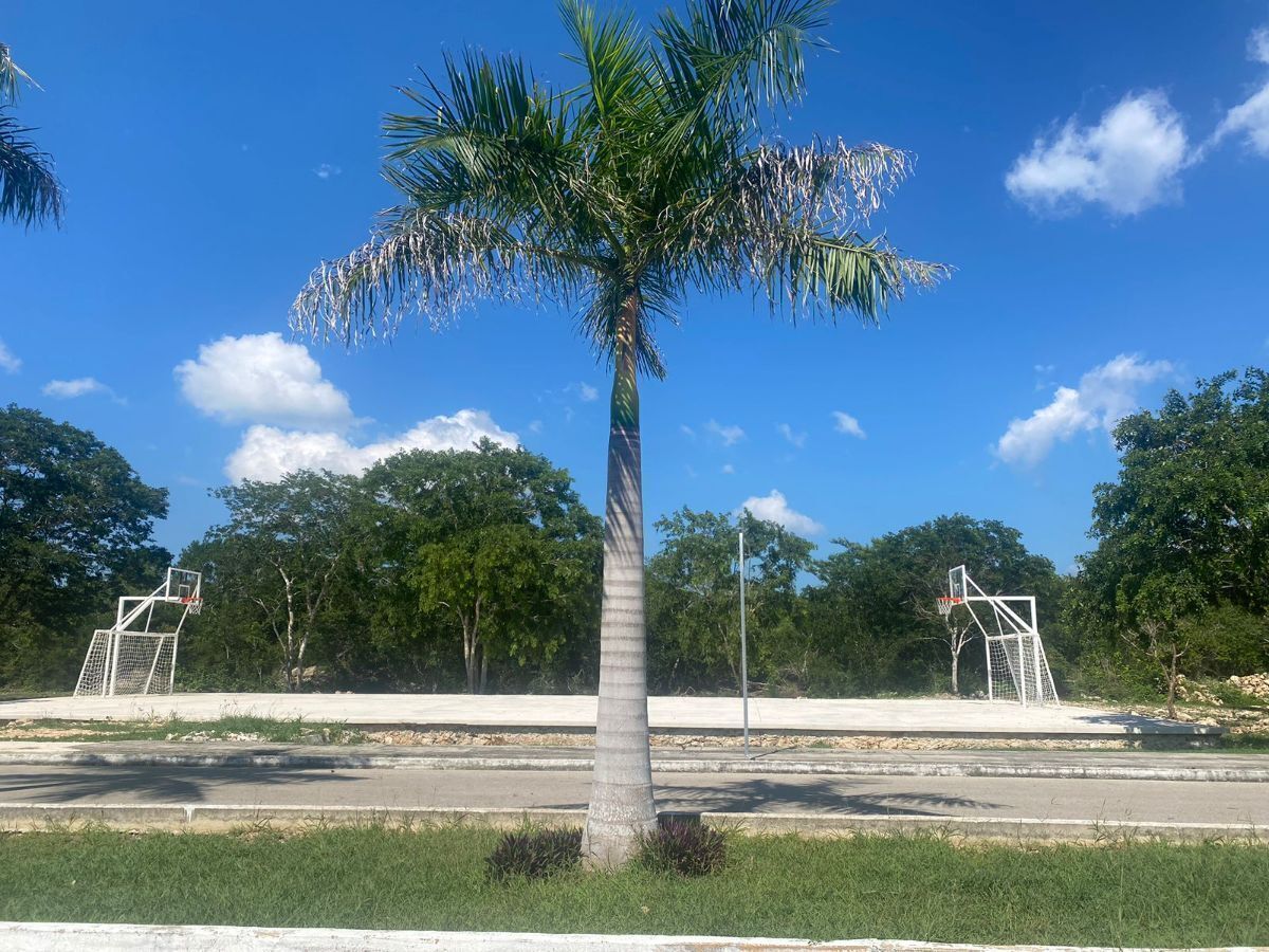 16 de 16: Cancha Deportiva