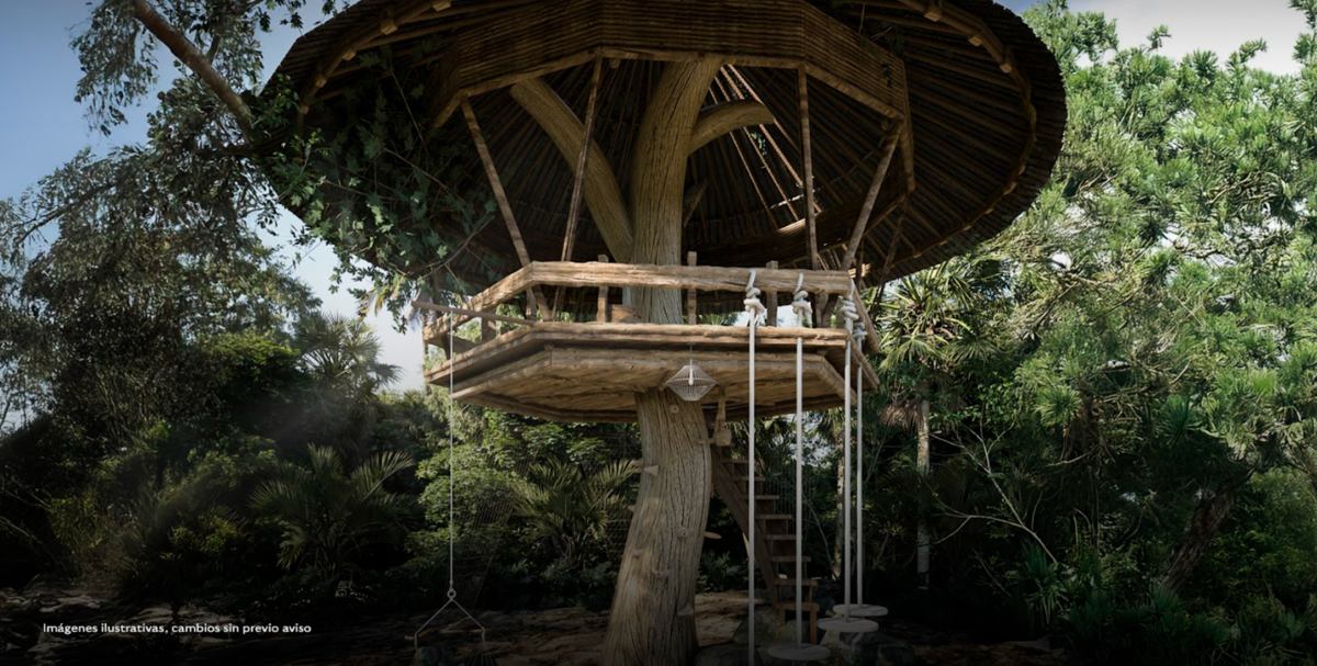 11 de 16: Casa del Árbol