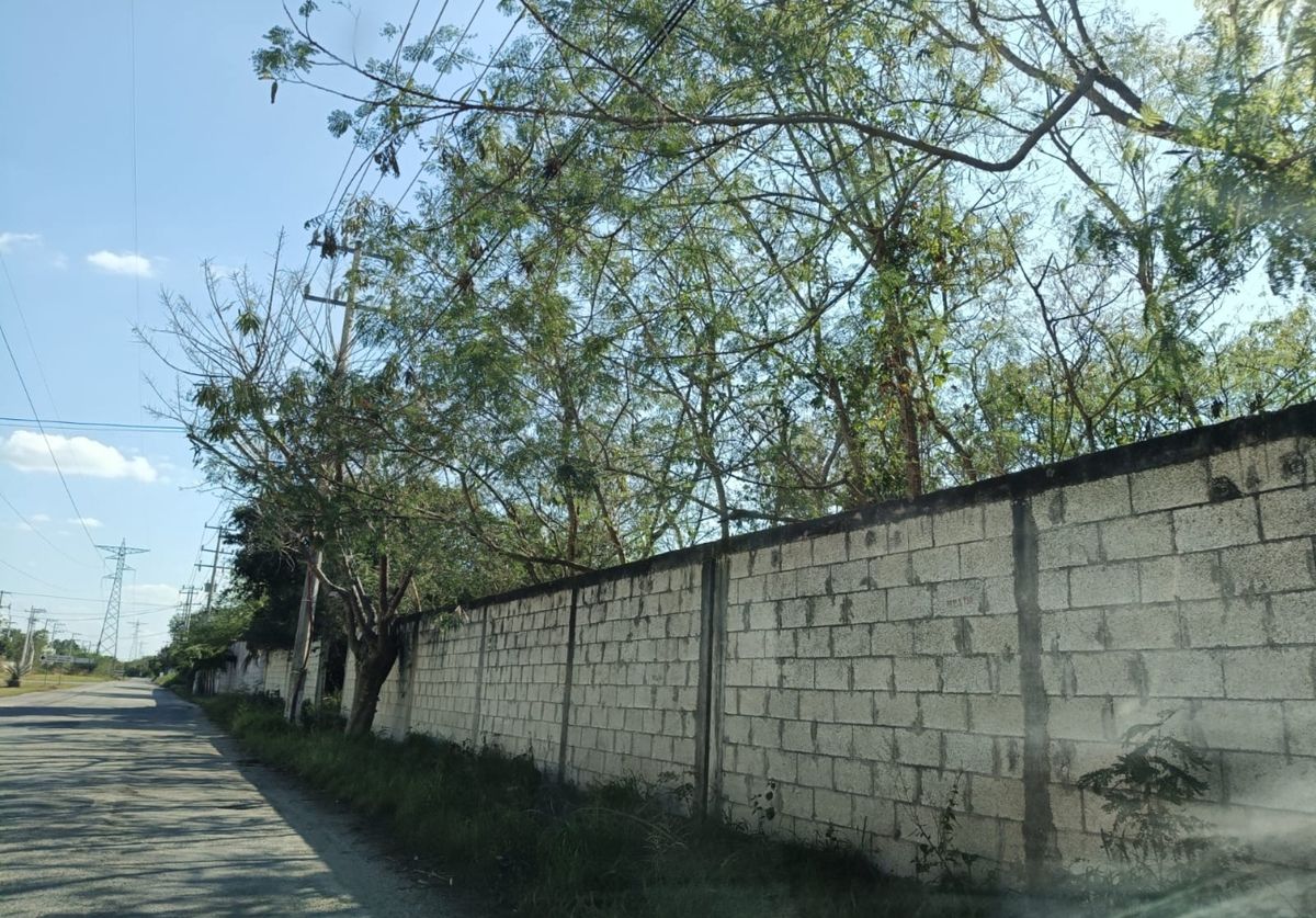 2 of 6: IMÁGENES PARA FINES ILUSTRATIVOS