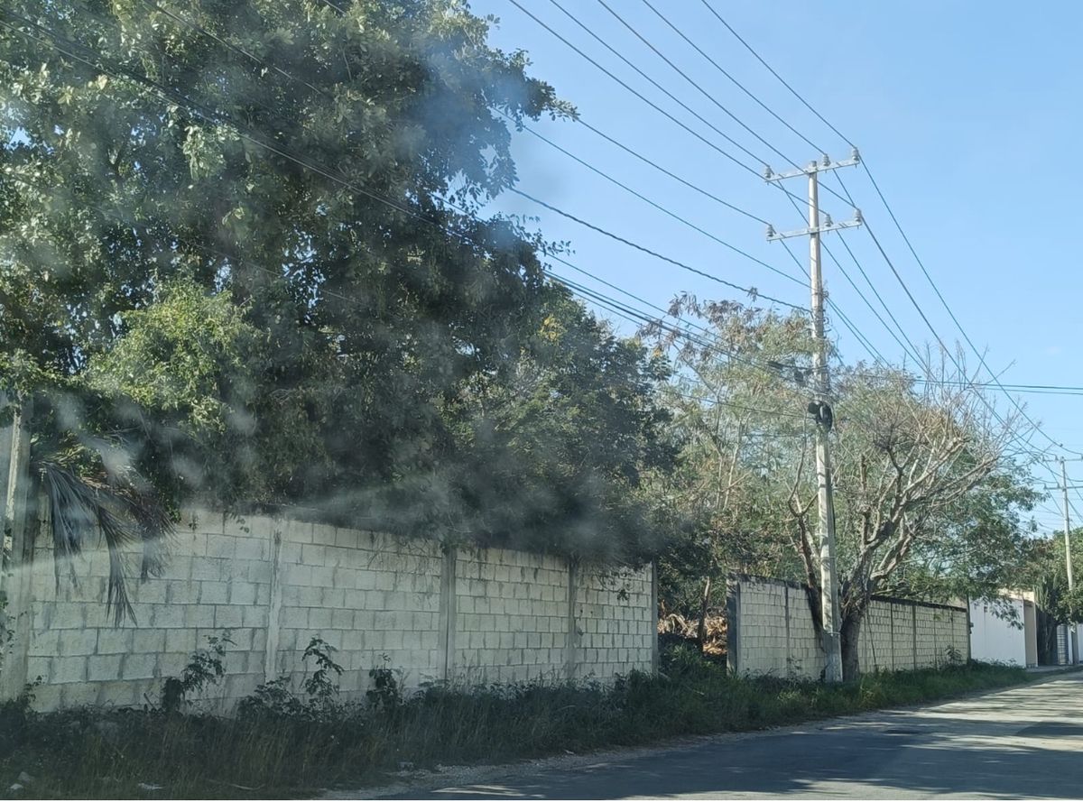 3 of 6: IMÁGENES PARA FINES ILUSTRATIVOS