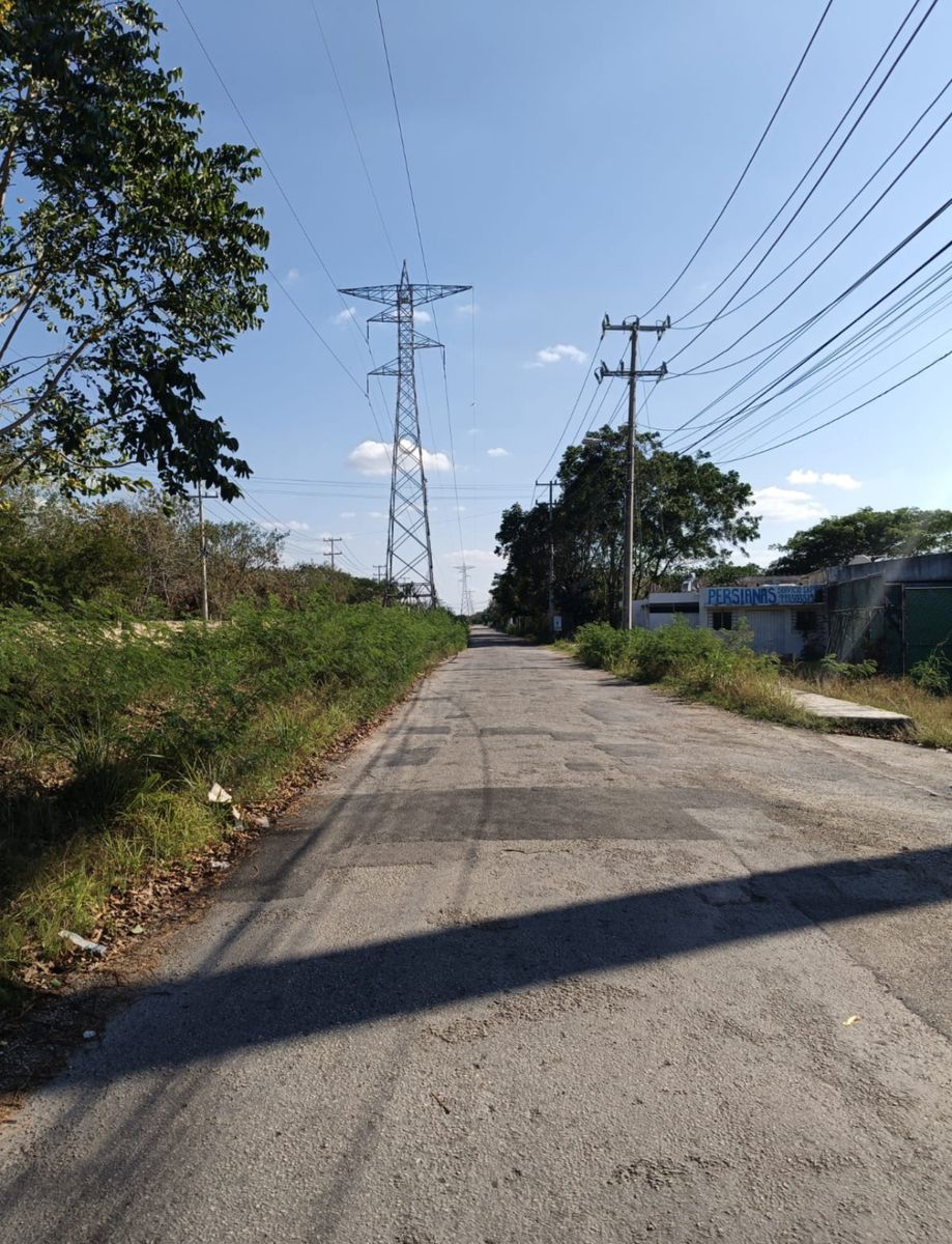 4 of 6: IMÁGENES PARA FINES ILUSTRATIVOS