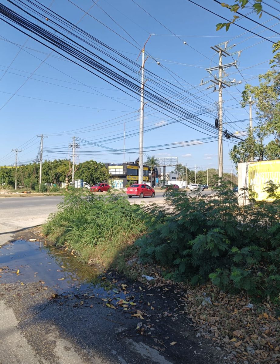 5 of 6: IMÁGENES PARA FINES ILUSTRATIVOS