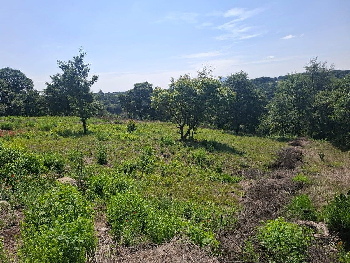 Lote em Villa del Carbón, Villa del Carbón, foto 5 de 16