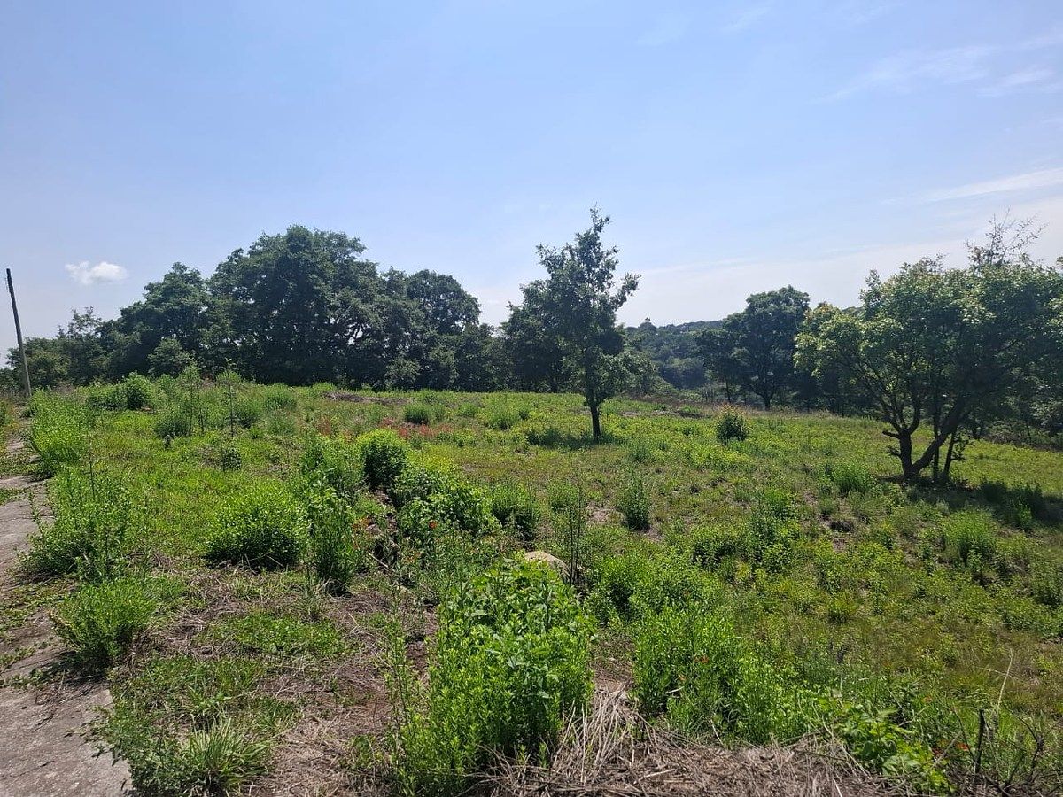 Lote em Villa del Carbón, Villa del Carbón, foto 7 de 16