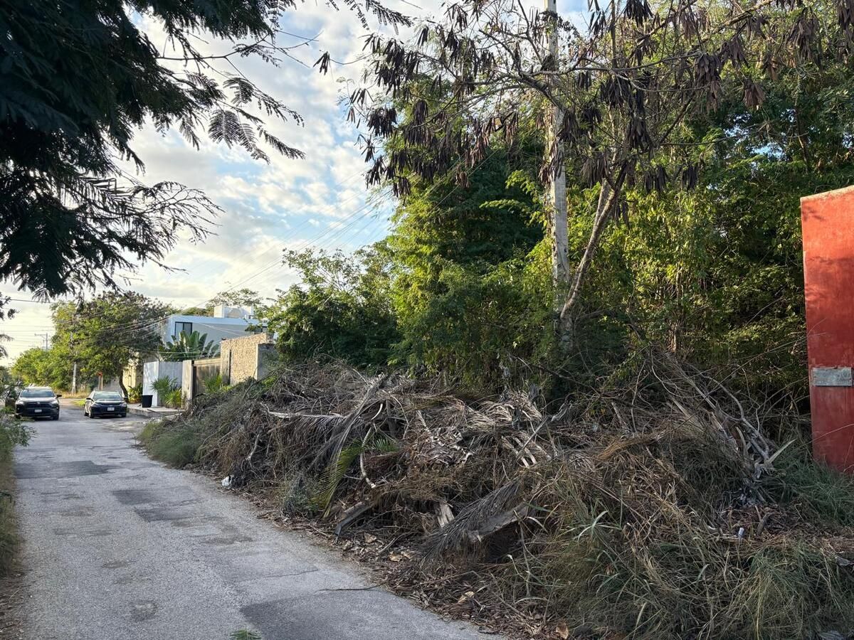 5 de 9: Terreno en Venta en Temozón Excelente Ubicación