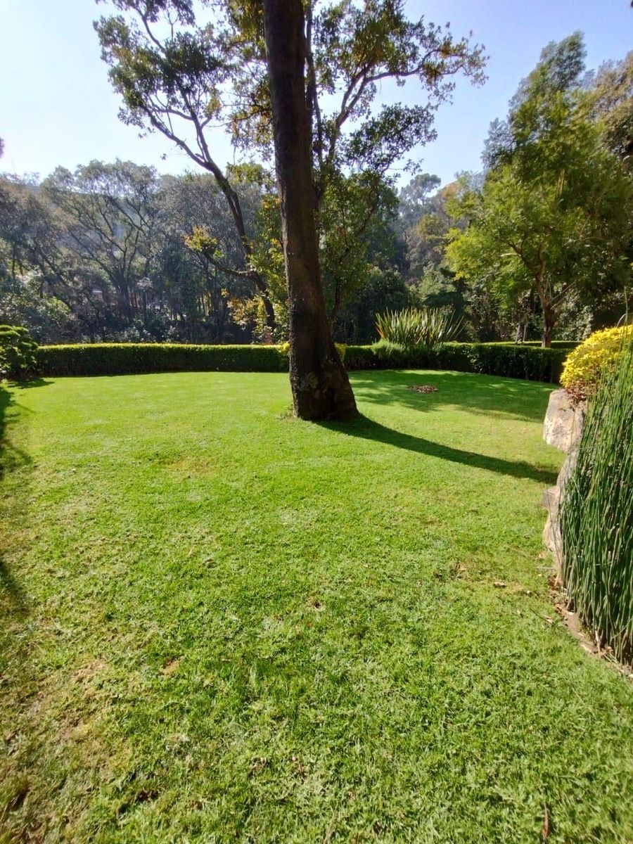Apartamento em Lomas de Vista Hermosa, Cuajimalpa de Morelos, foto 3 de 8