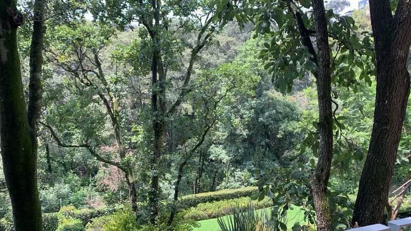 Apartamento em Lomas de Vista Hermosa, Cuajimalpa de Morelos, foto 6 de 8